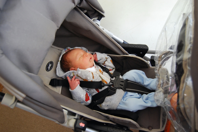 second outing in double buggy.jpg